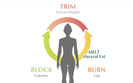 Fancl Diet Slimmings Series Animation