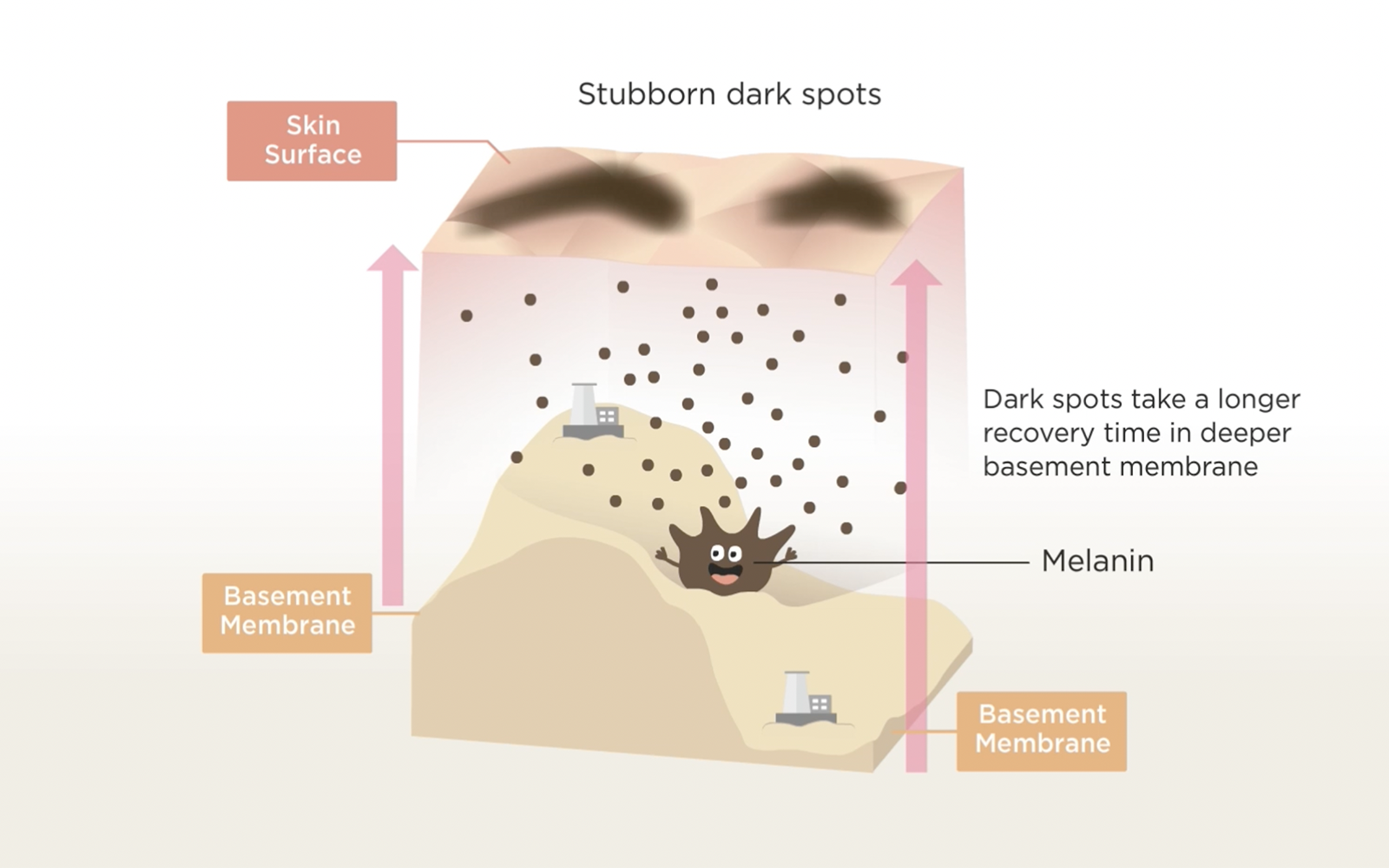 fancl-whitening-series-animation